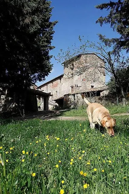 Casa Fallocchio San Casciano in Val di Pesa 0*,